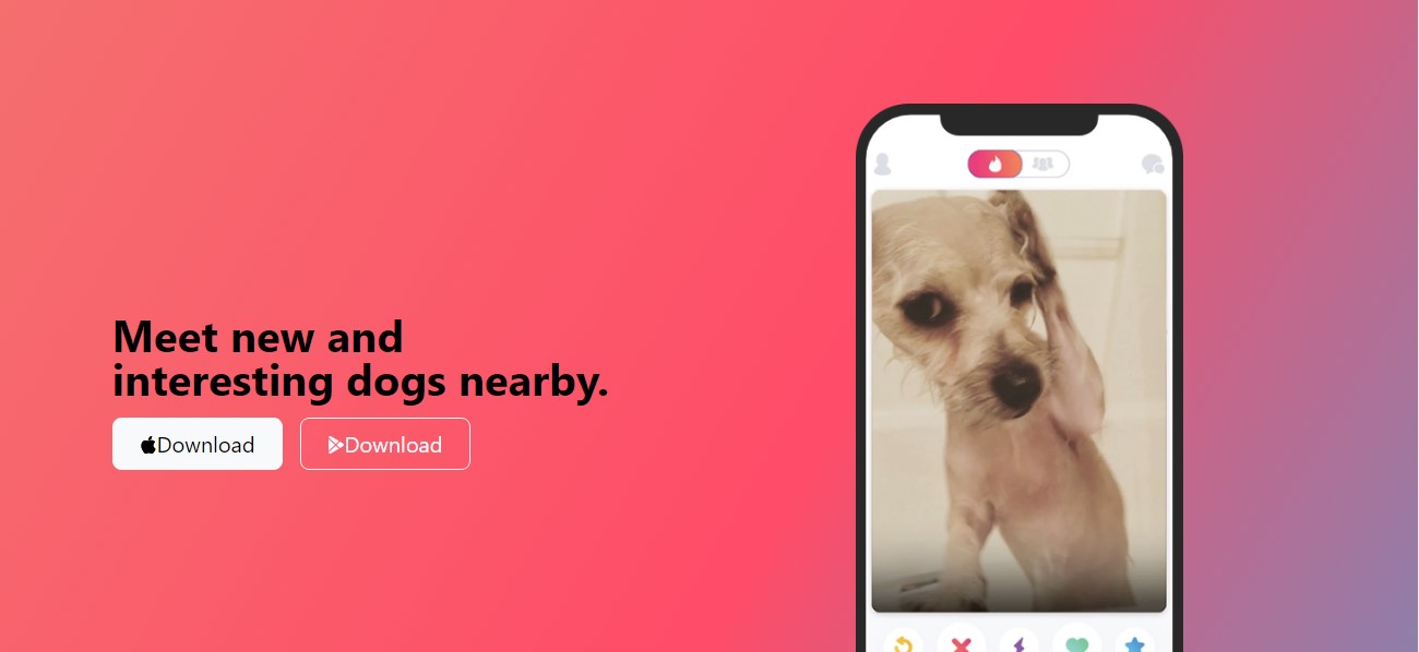 Ikenna's Tindog project